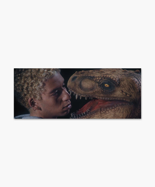 Load image into Gallery viewer, 30 PRINTS FOR PALESTINE
