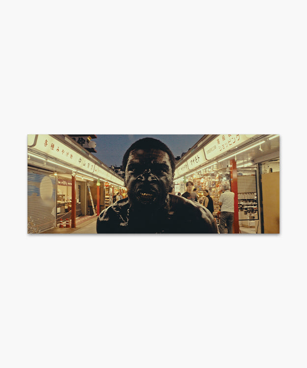 Load image into Gallery viewer, 30 PRINTS FOR PALESTINE
