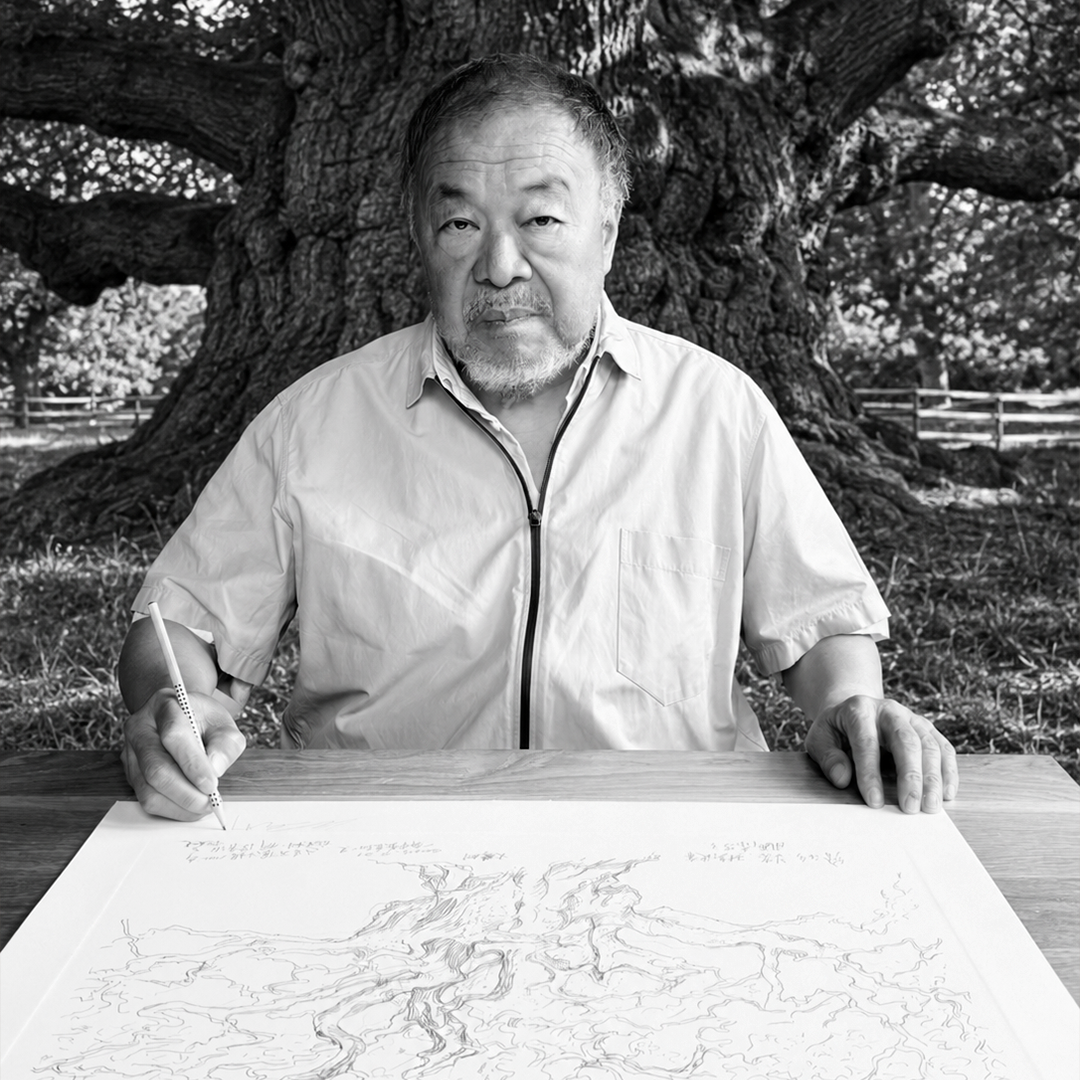 Load image into Gallery viewer, Ai Weiwei
